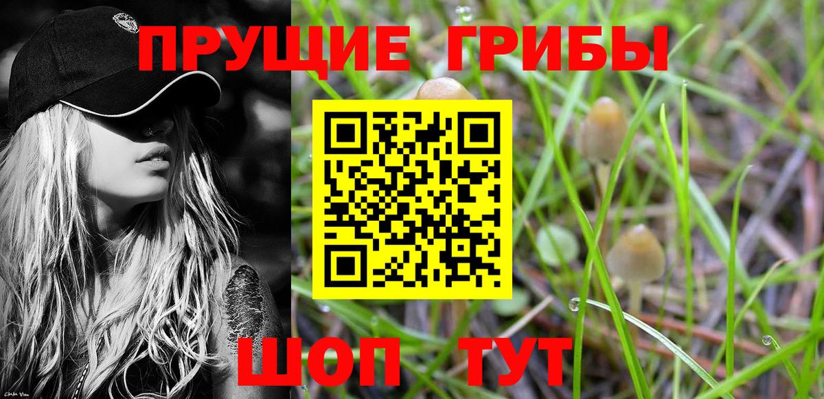 Галлюциногенные грибы ЛСД Верхняя Салда