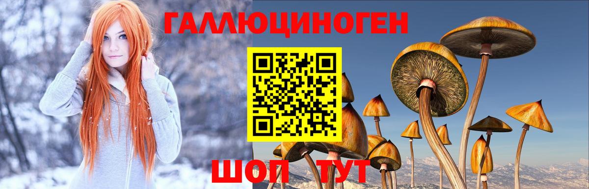 Верхняя Салда  Галлюциногенные грибы Psilocybine cubensis  Галлюциногенные грибы Psilocybe  Вход с VPN 